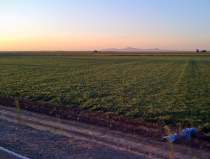 The Sutter Buttes from the Sacramento River levee road (Cranmore Road) at sunset
